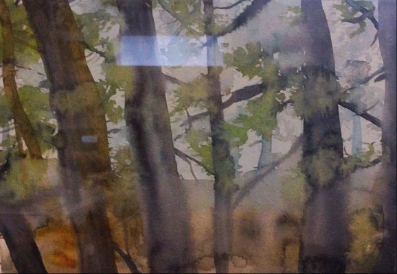 Watercolour woods